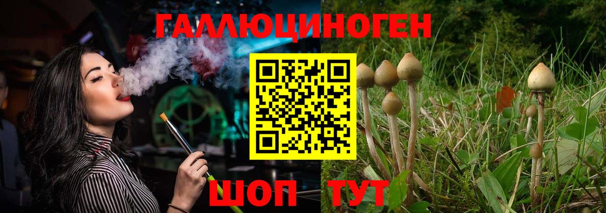 Архангельск  Псилоцибиновые грибы GOLDEN TEACHER  Вход с VPN 
